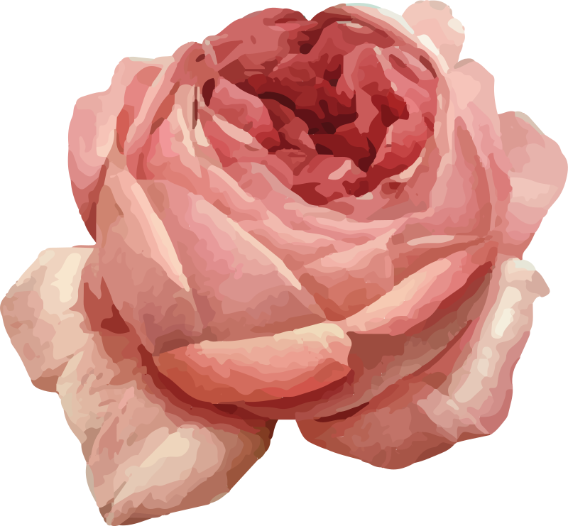 Tappeto vinile fiori lussureggiante fioritura rosa - TenStickers