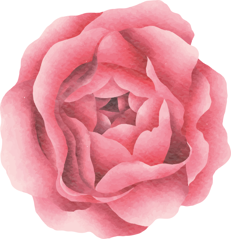 Tappeto vinile fiori fiore rosa cipria - TenStickers