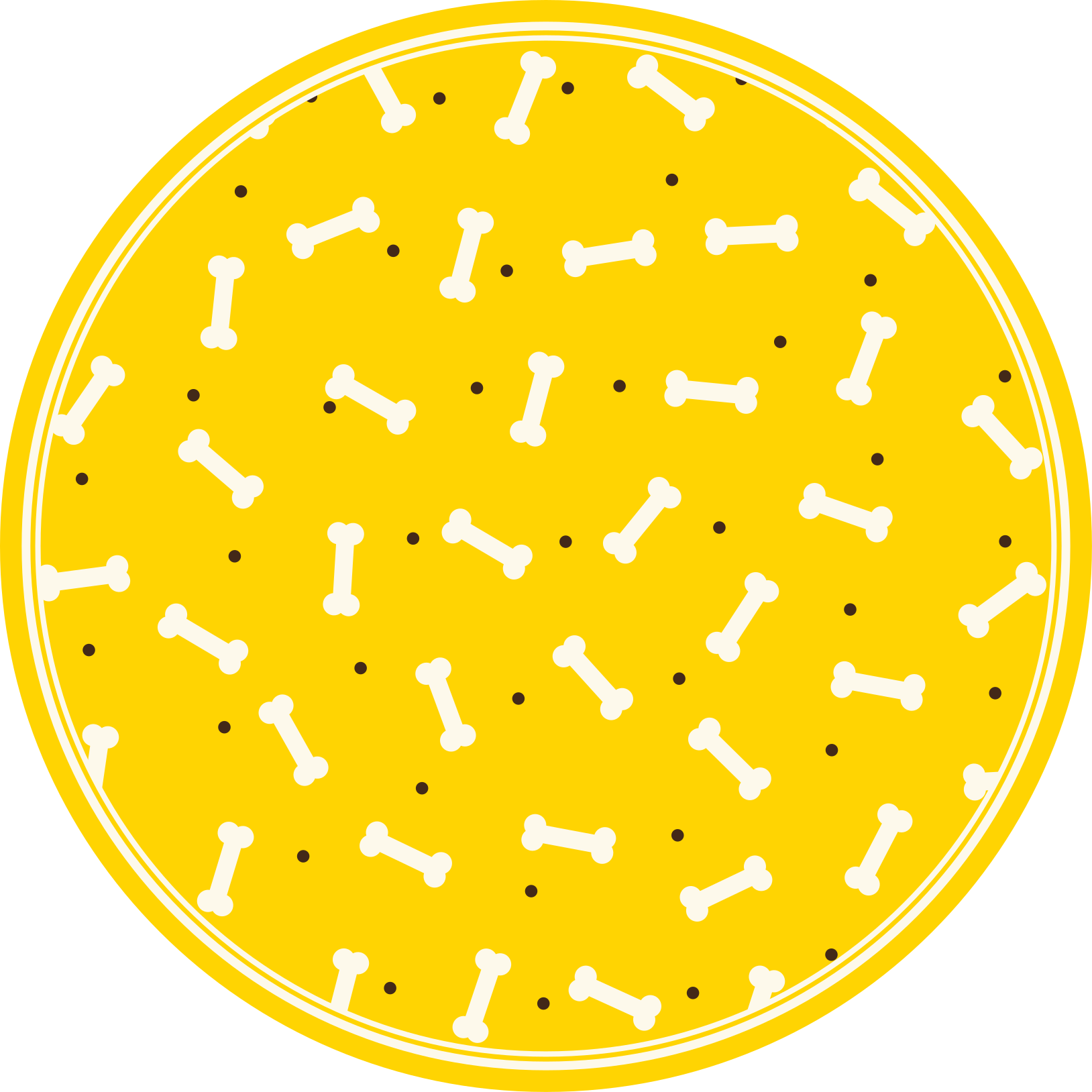 Tappeto vinile animali modello osseo giallo - TenStickers