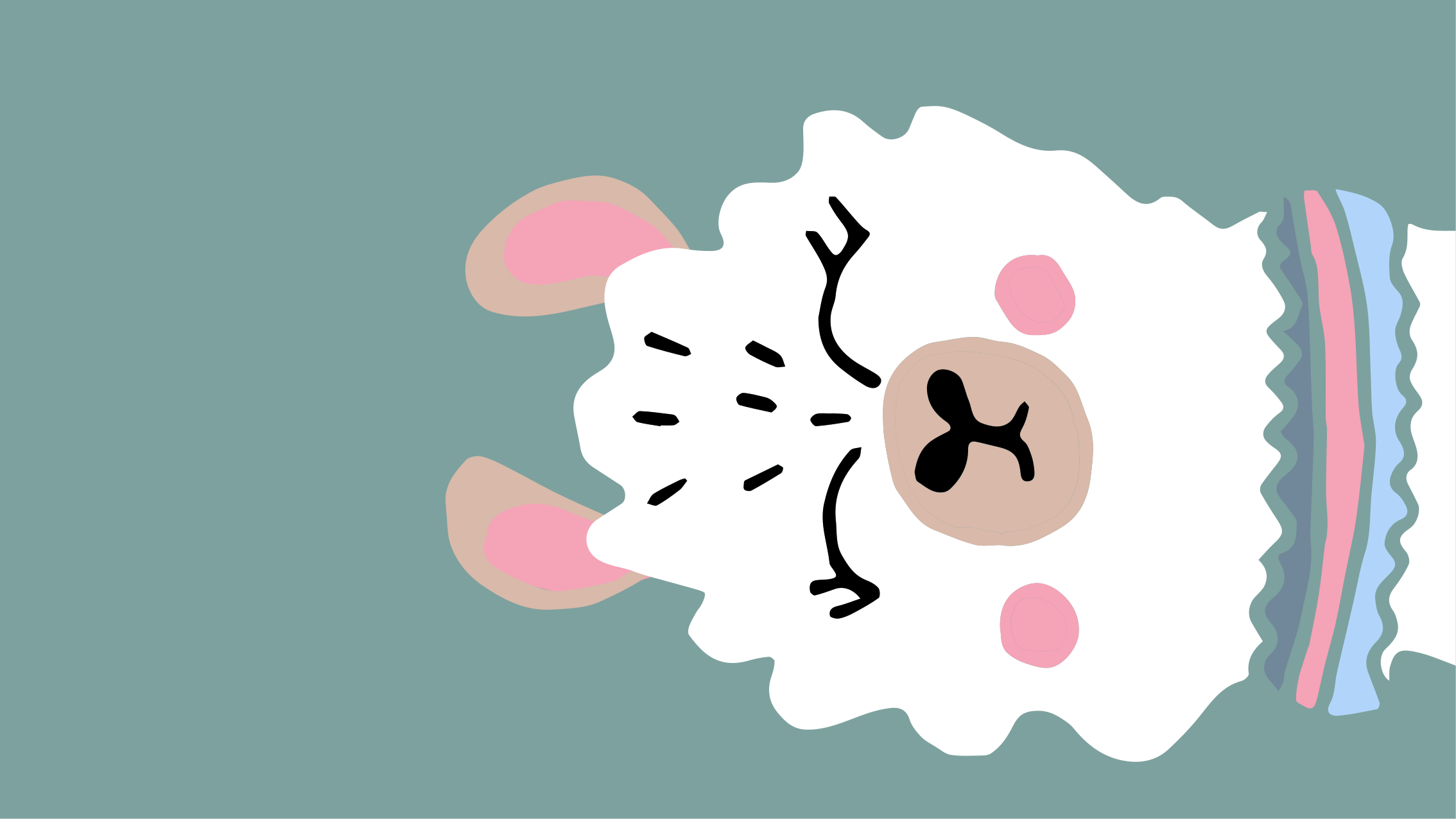 Tappeto vinile bebé illustrazione di agnello - TenStickers