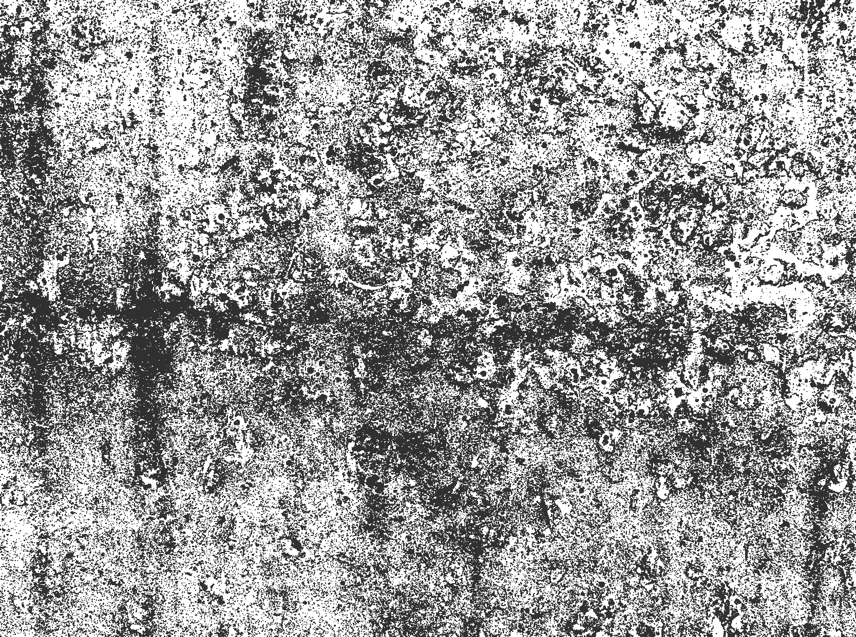 Tappeto vinile sala da pranzo grigio sbiadito - TenStickers