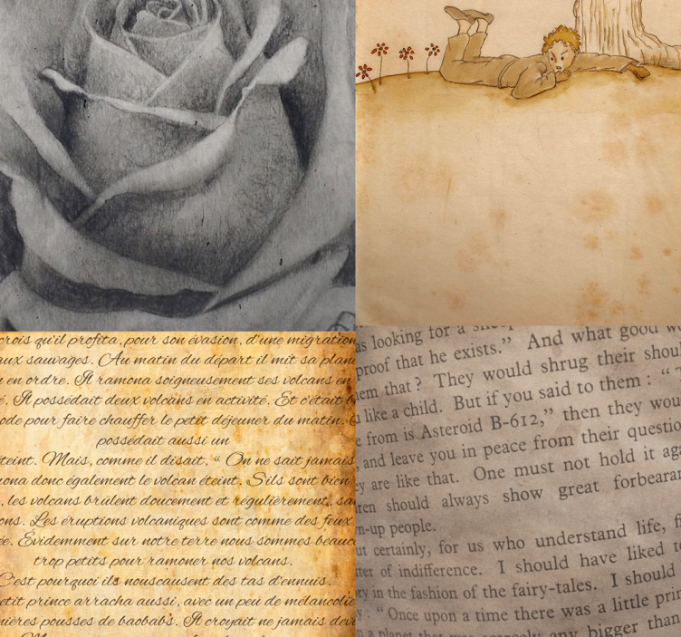 Carta da parati con scritte collage del piccolo principe - TenStickers