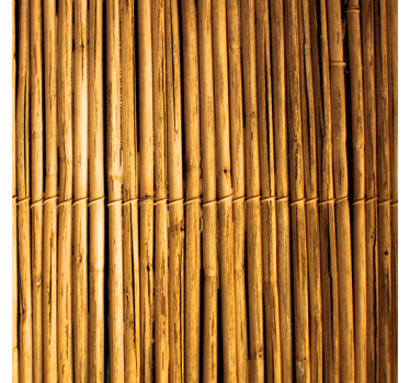 Carta da parati moderna texture effetto bambù - TenStickers
