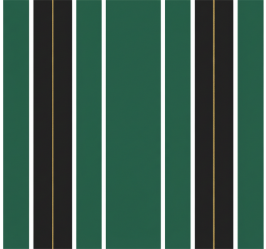 Carta da parati a righe verticali verde e nera - TenStickers